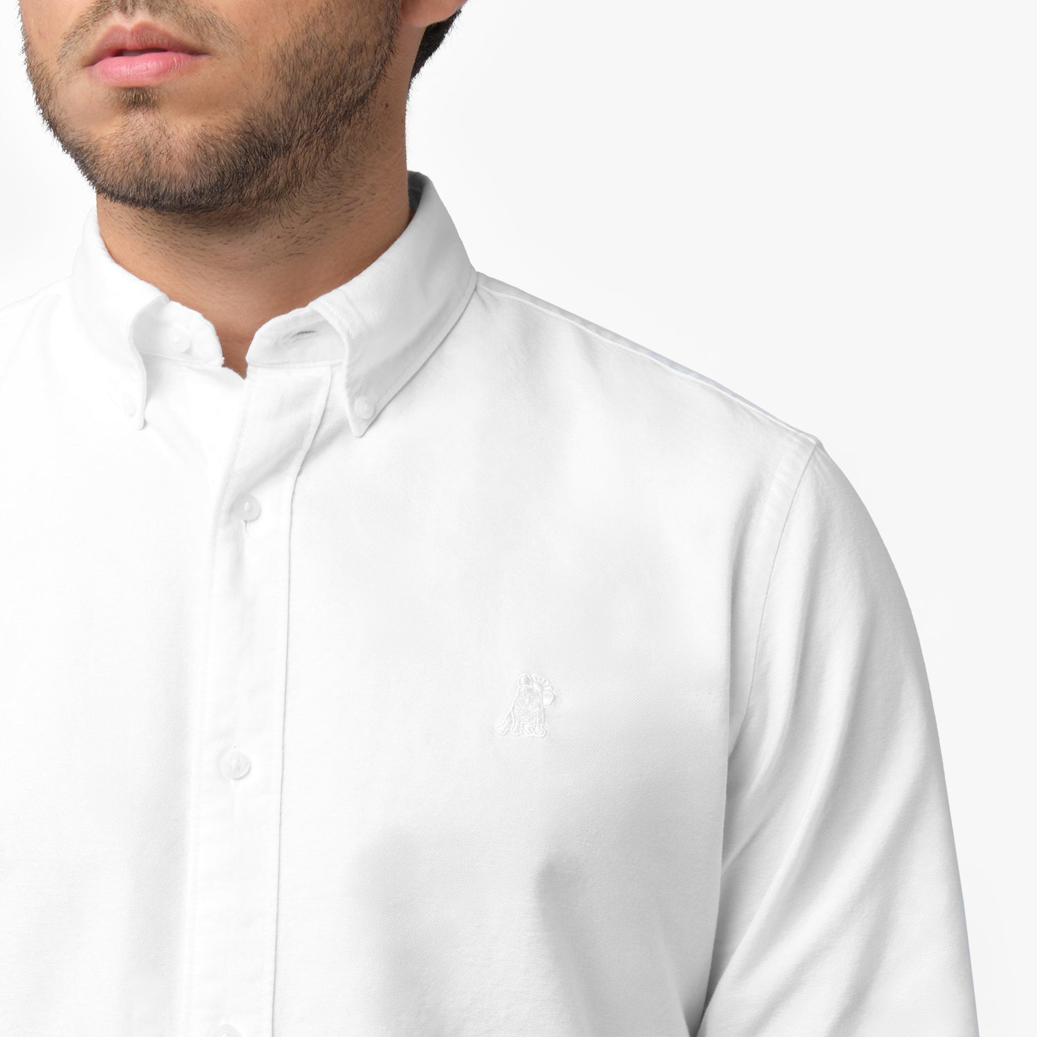 Close-up detail of the white oxford shirt collar and chest area on a male model, showing the button-down collar, buttons, fabric texture, and the small white embroidered dog logo on the left chest