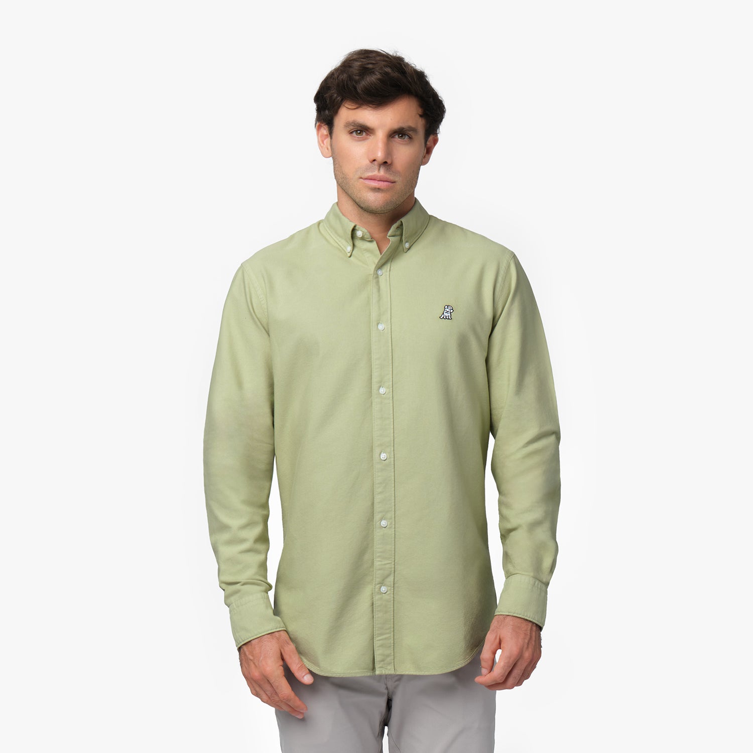 Front waist-up view of a male model wearing a light green long-sleeve button-down oxford shirt with a small white embroidered logo on the left chest, paired with grey trousers