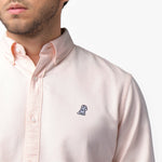 Close-up detail of the light pink oxford shirt collar and chest area on a male model, showing the button-down collar, buttons, fabric texture, and the small blue embroidered dog logo on the left chest