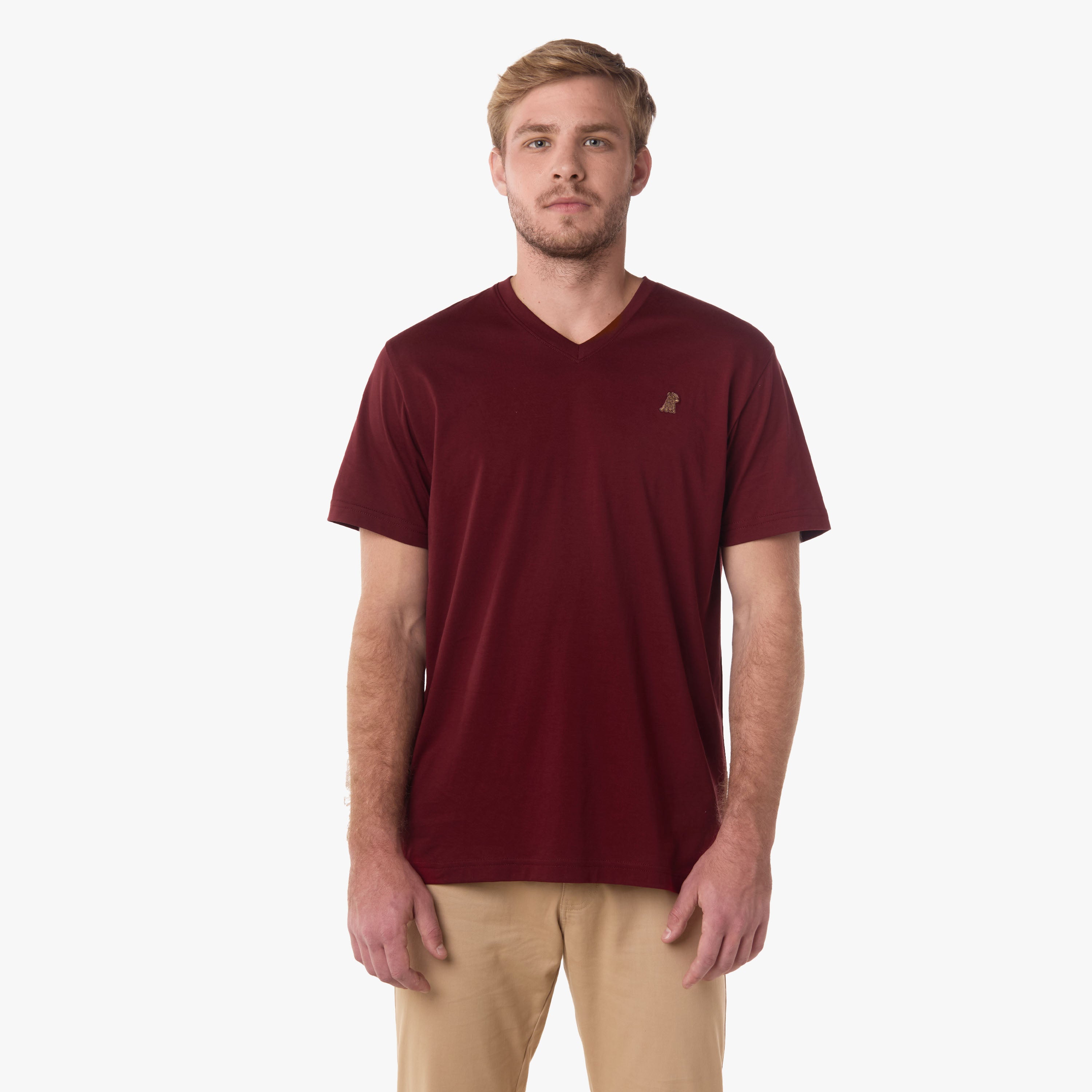 A young man wearing a burgundy V-neck t-shirt with a small embroidered logo on the chest, standing with his hands at his sides, paired with beige pants.