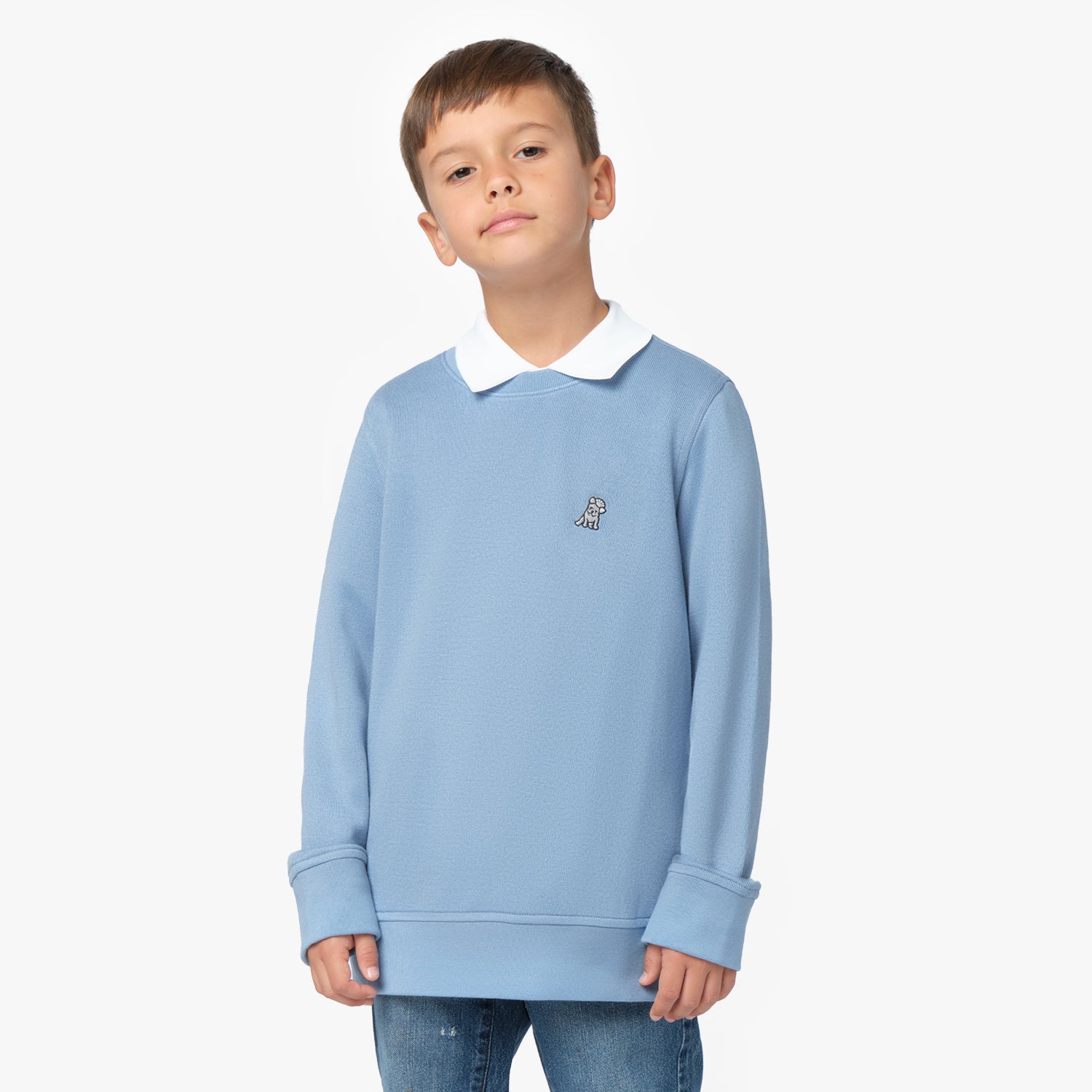 A young boy with short brown hair and a confident expression wears a light blue oversized sweatshirt with a white collared shirt underneath. The sweatshirt has a small embroidered dog logo on the left chest, wide cuffs, and a relaxed fit. He pairs it with blue jeans. The background is plain white.