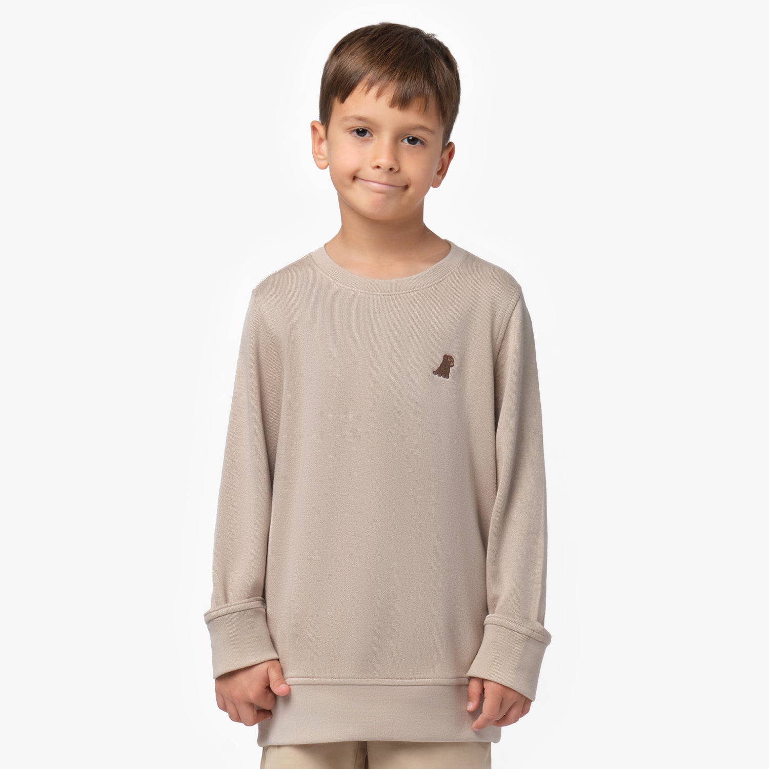 A young boy with short brown hair and a slight smile is wearing an oversized beige long-sleeve sweatshirt with a small embroidered brown dog logo on the left chest. The sweatshirt has a relaxed fit with wide cuffs and a soft texture. He stands against a plain white background with his hands relaxed at his sides.