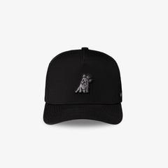 A black baseball cap featuring a small, dark gray embroidered dog