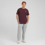 Men's Crew Neck Jersey T-Shirt — Tawny Port/White - JAMES BARK