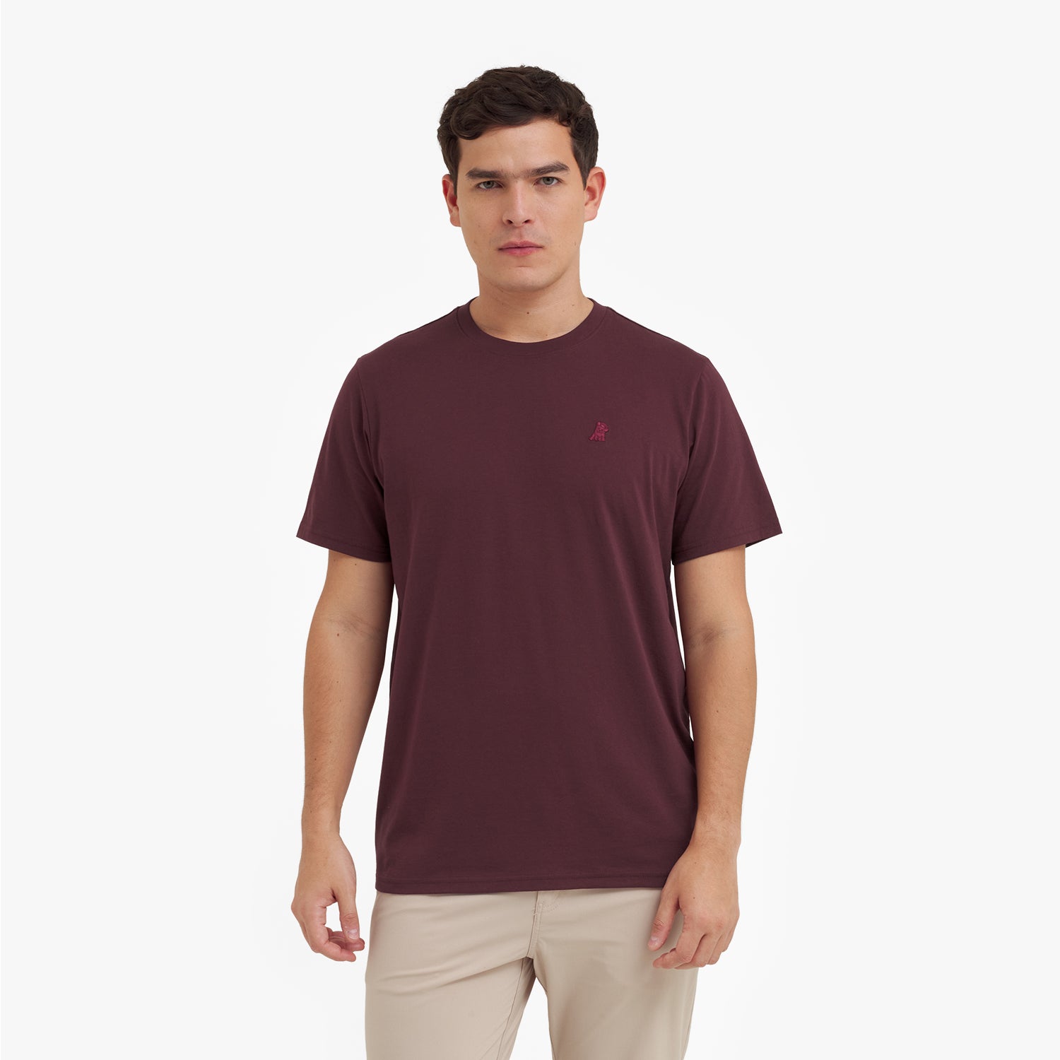 Men's Crew Neck Jersey T-Shirt — Tawny Port/Merlot - JAMES BARK