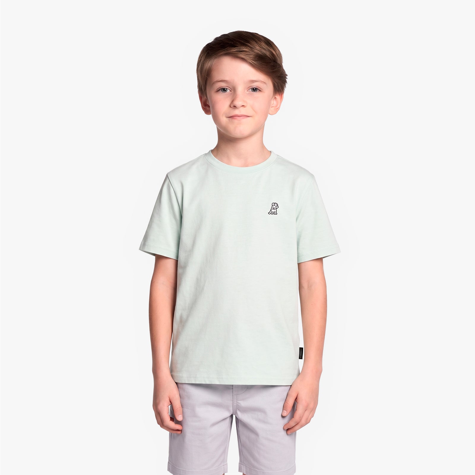 A boy wearing a light mint green T-shirt with a small black graphic on the left chest, paired with light gray shorts
