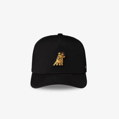 James Bark Black Recycled Cap - Gold Bark - JAMES BARK