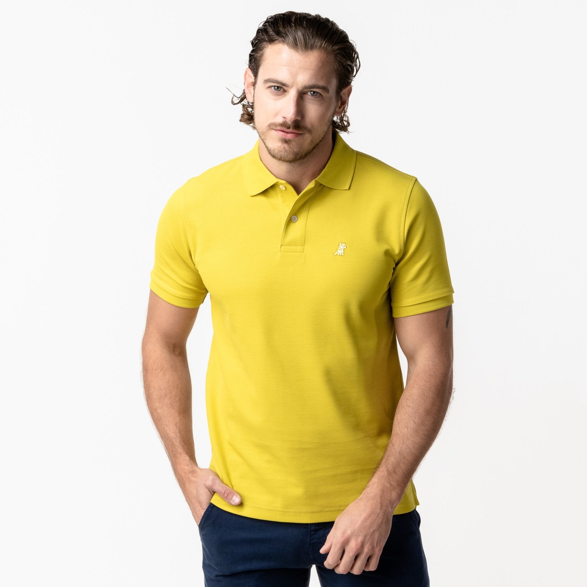 Men's Apple Green Regular Fit Polo Shirt - Apple Bark - JAMES BARK