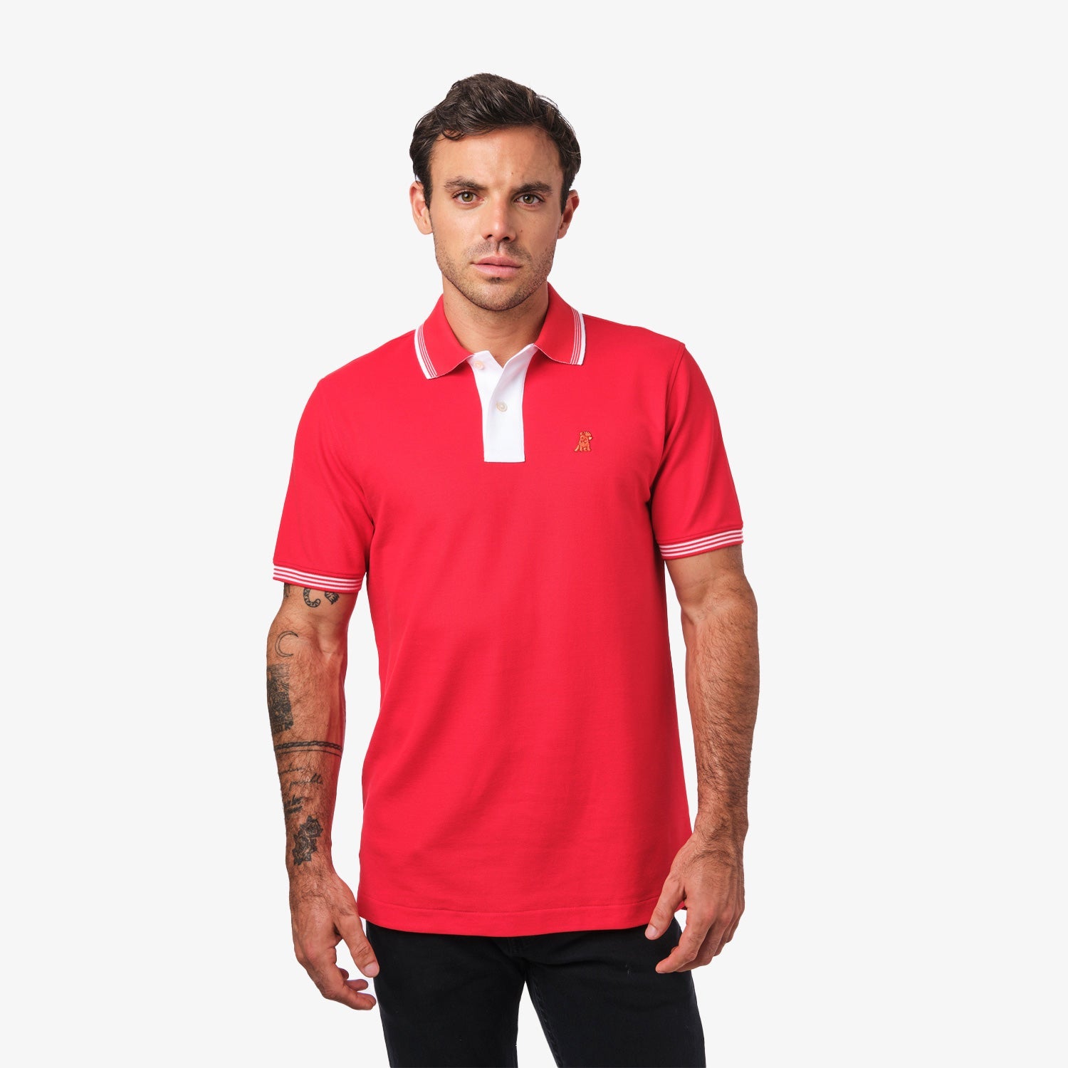 Collar Details Men's Polo Shirt: Stylish – JAMES BARK